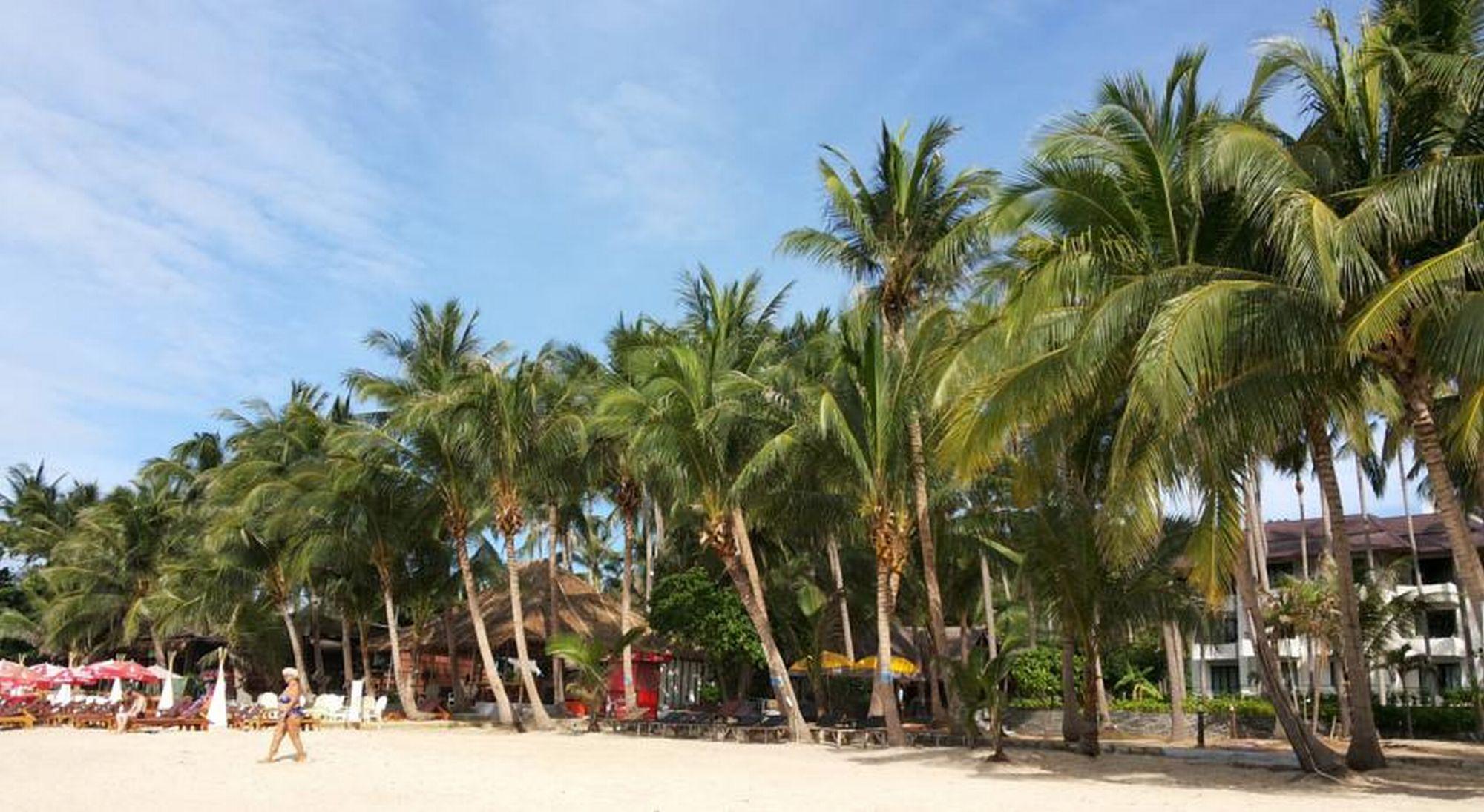 Astrococo Beach Resort By Coconut Beach Lamai Beach  Eksteriør bilde