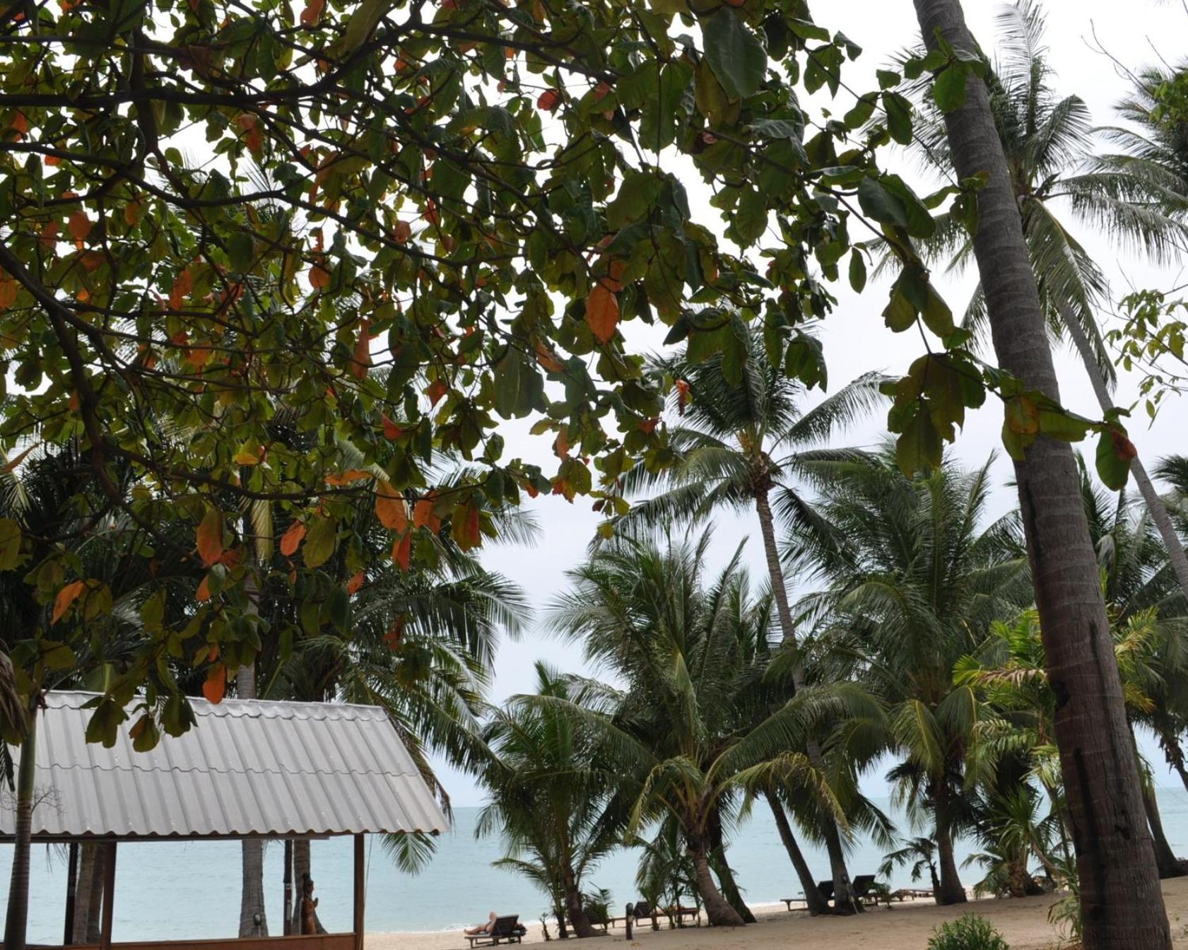 Astrococo Beach Resort By Coconut Beach Lamai Beach  Eksteriør bilde